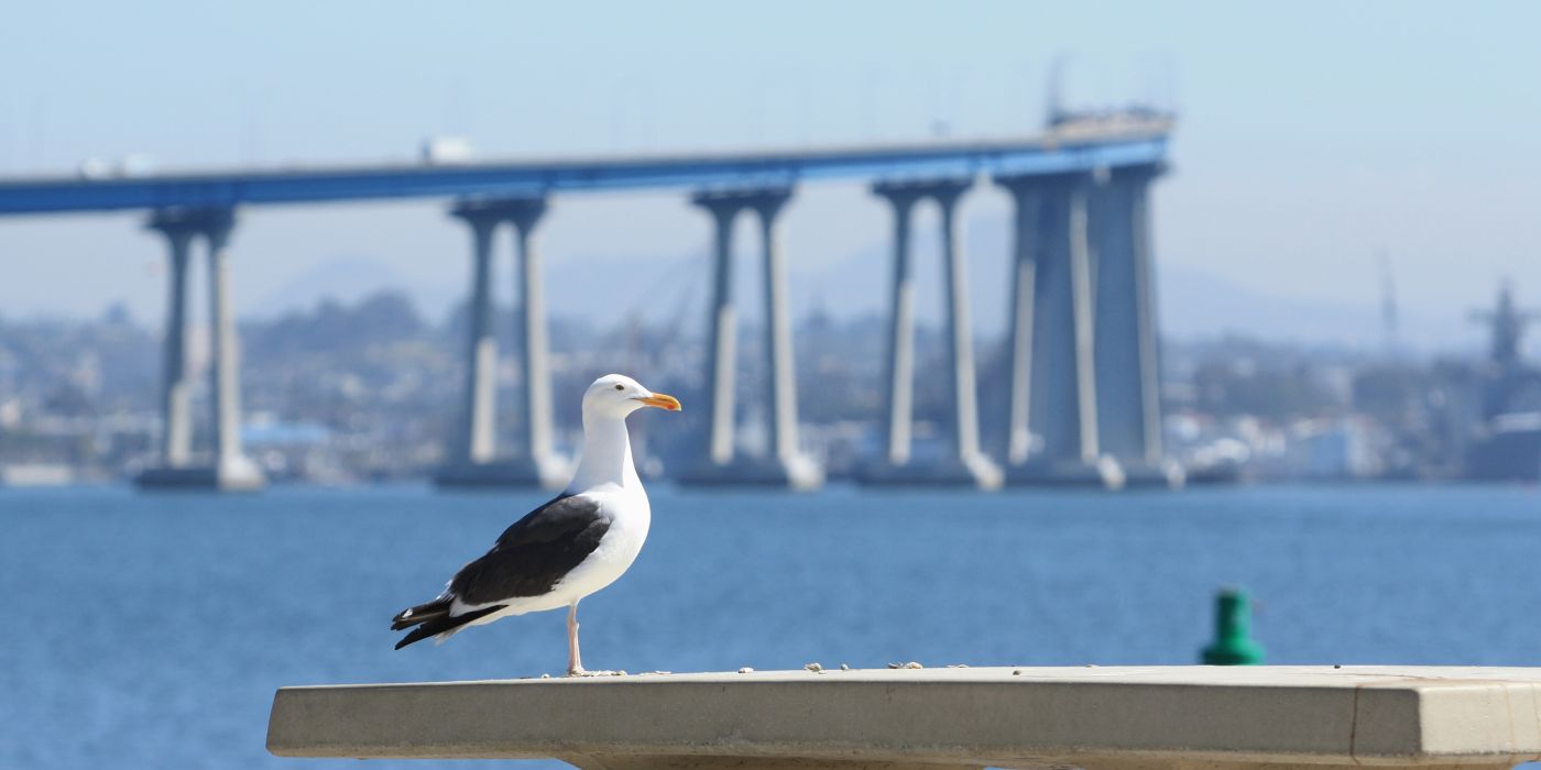 Coronado California