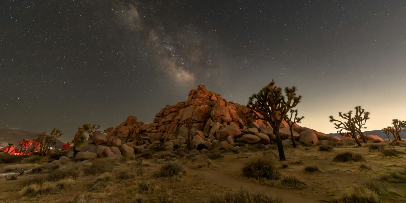 Joshua Tree | California | stargazing