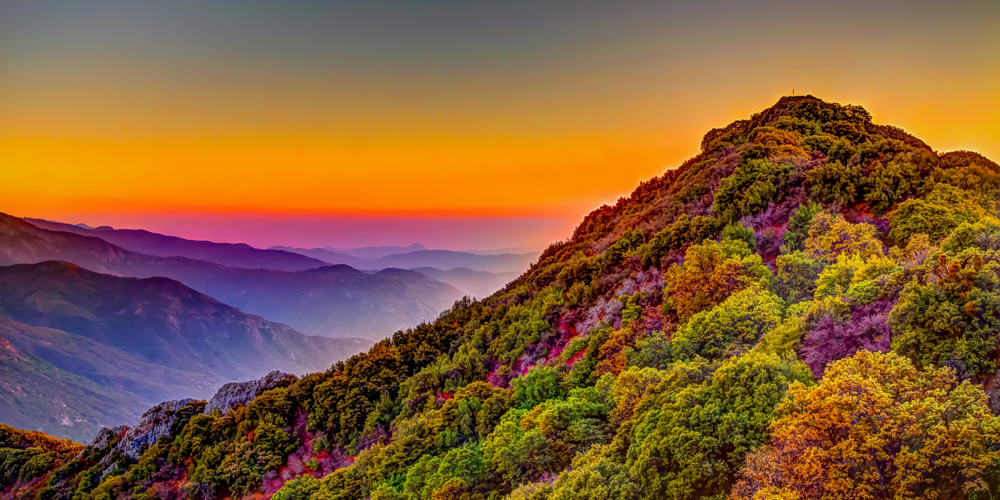 Sequoia National Park