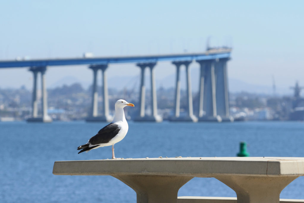 Coronado California