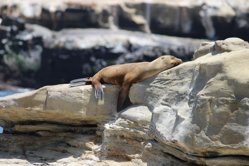 La Jolla, California