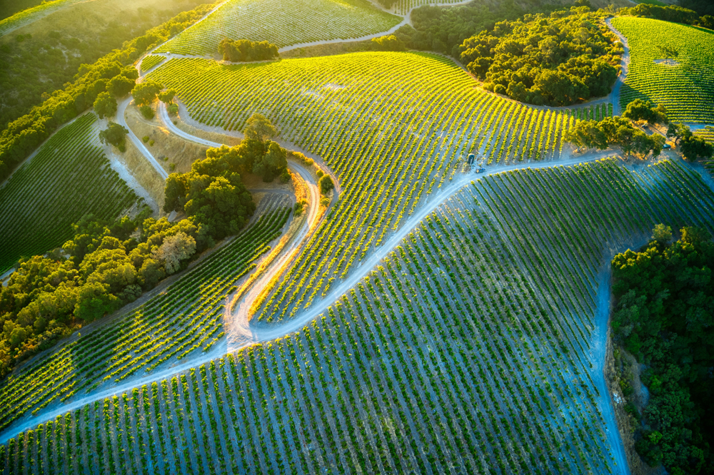 Paso Robles | California