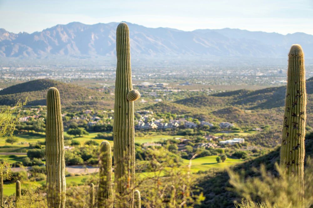 Oro Valley | Arizona