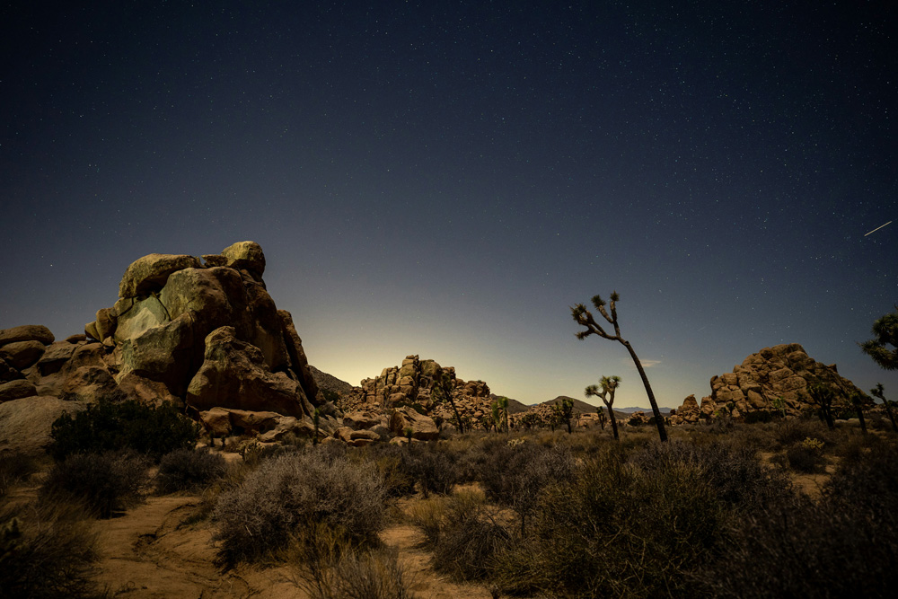 Joshua Tree, CA, USA