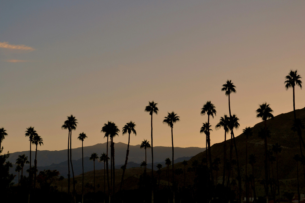 Palm Springs | California